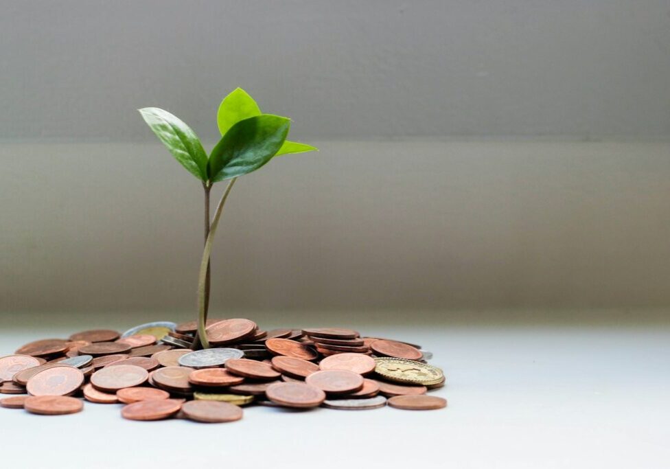 Seedling growing from a pile of coins